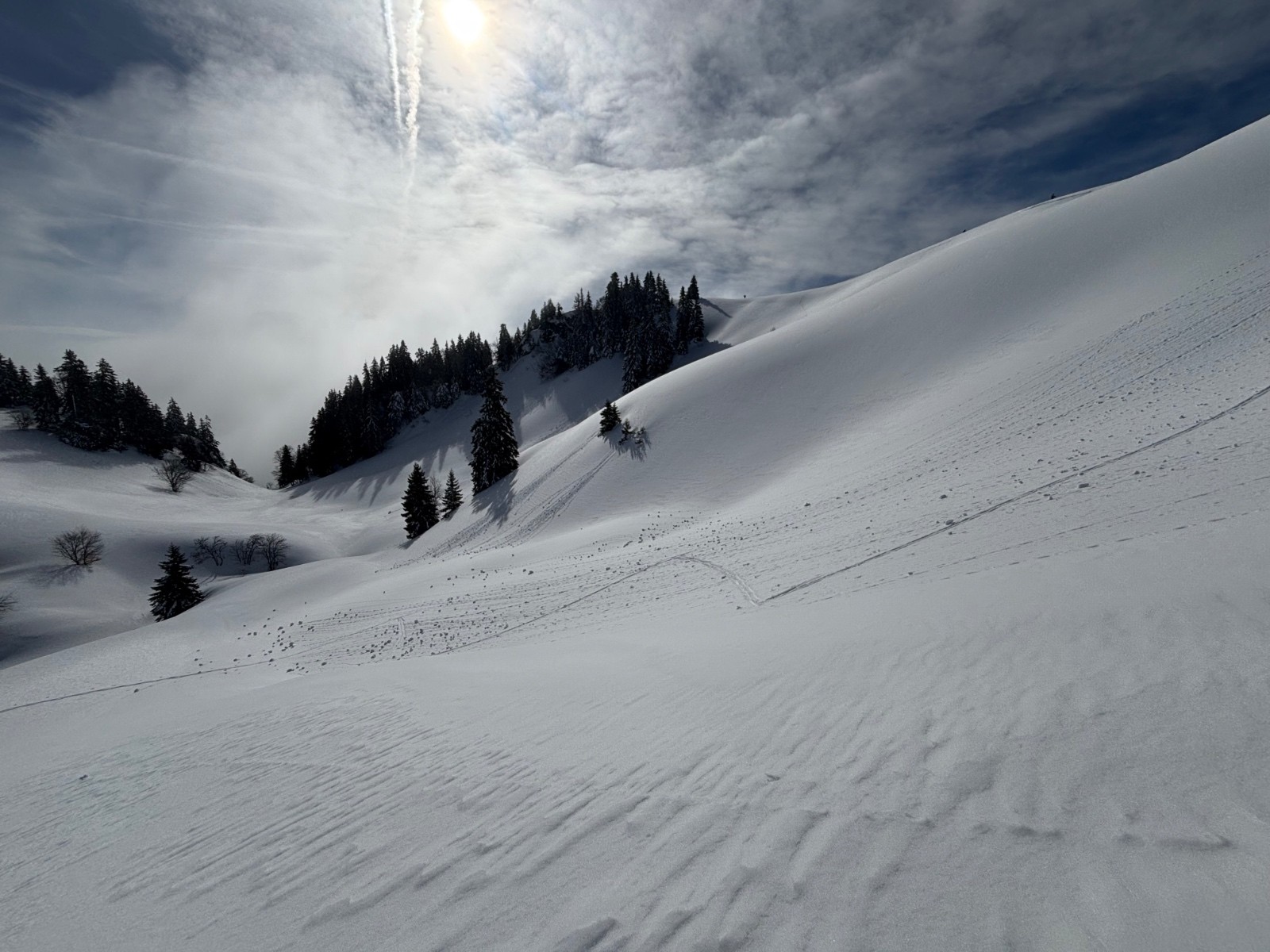 Vous avez dit charmant ?