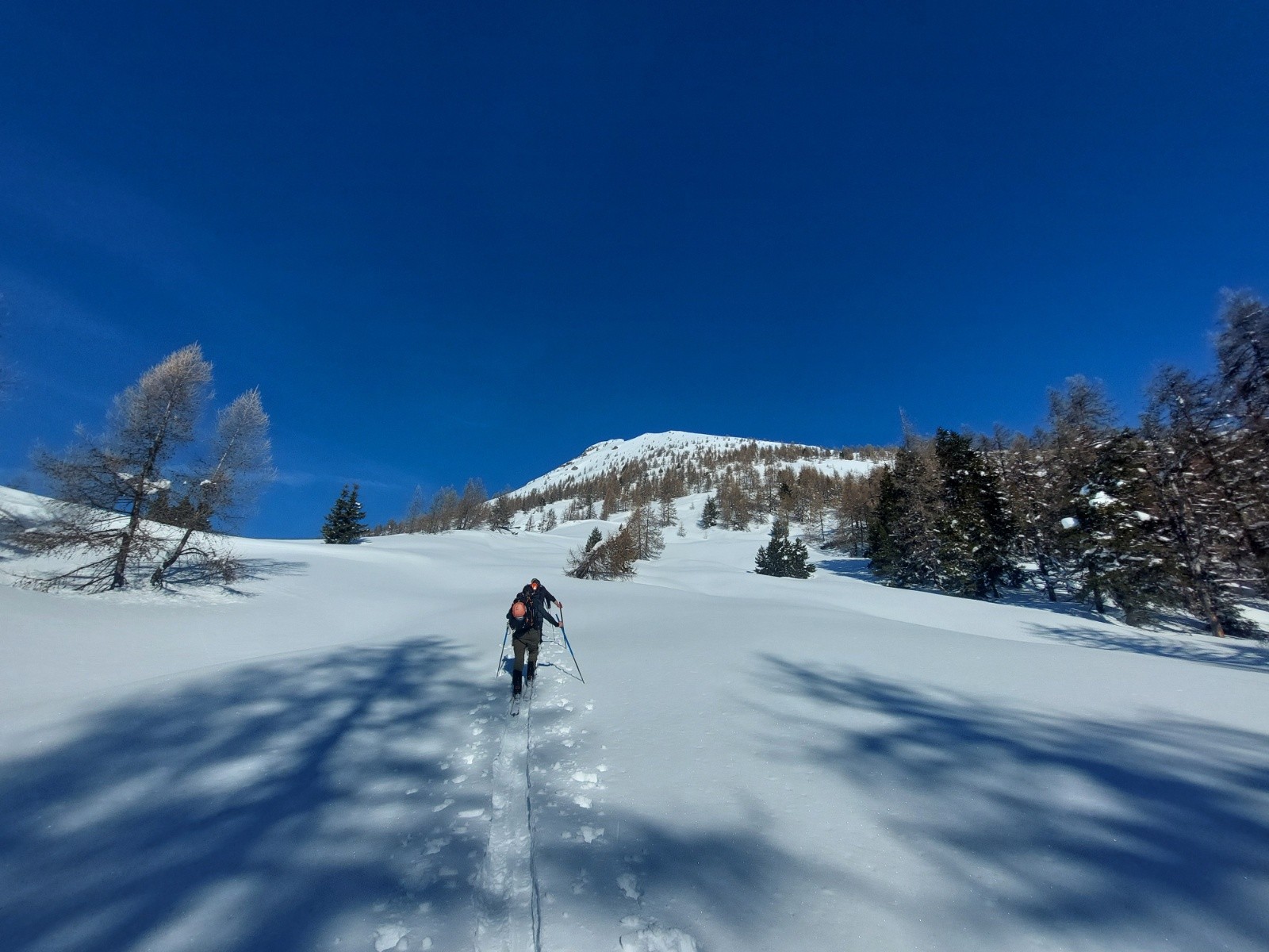 #6 Sortie de la foret domanial du drac Sortie de la foret domanial du drac