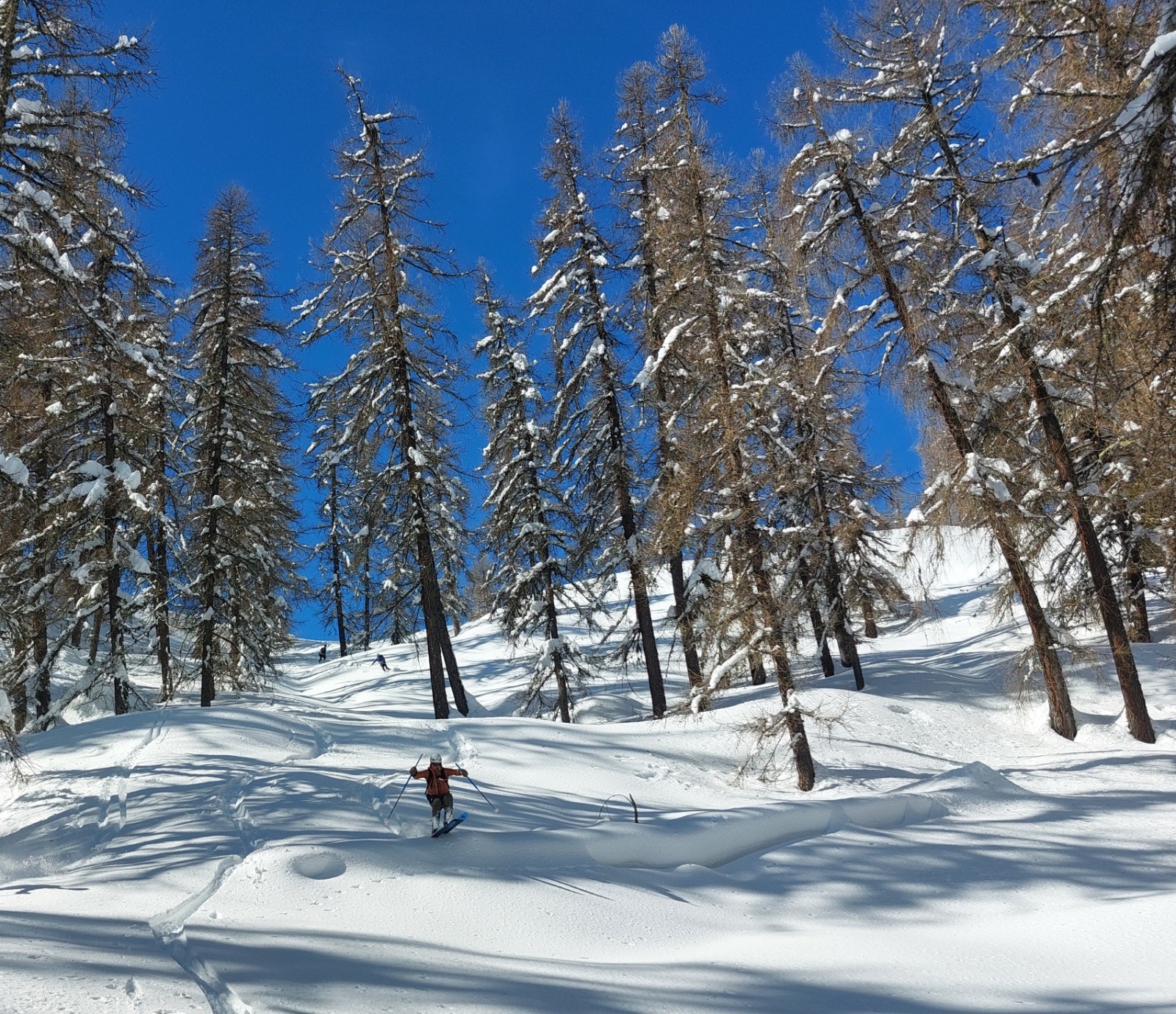 #14 Air flight Alex Air flight Alex