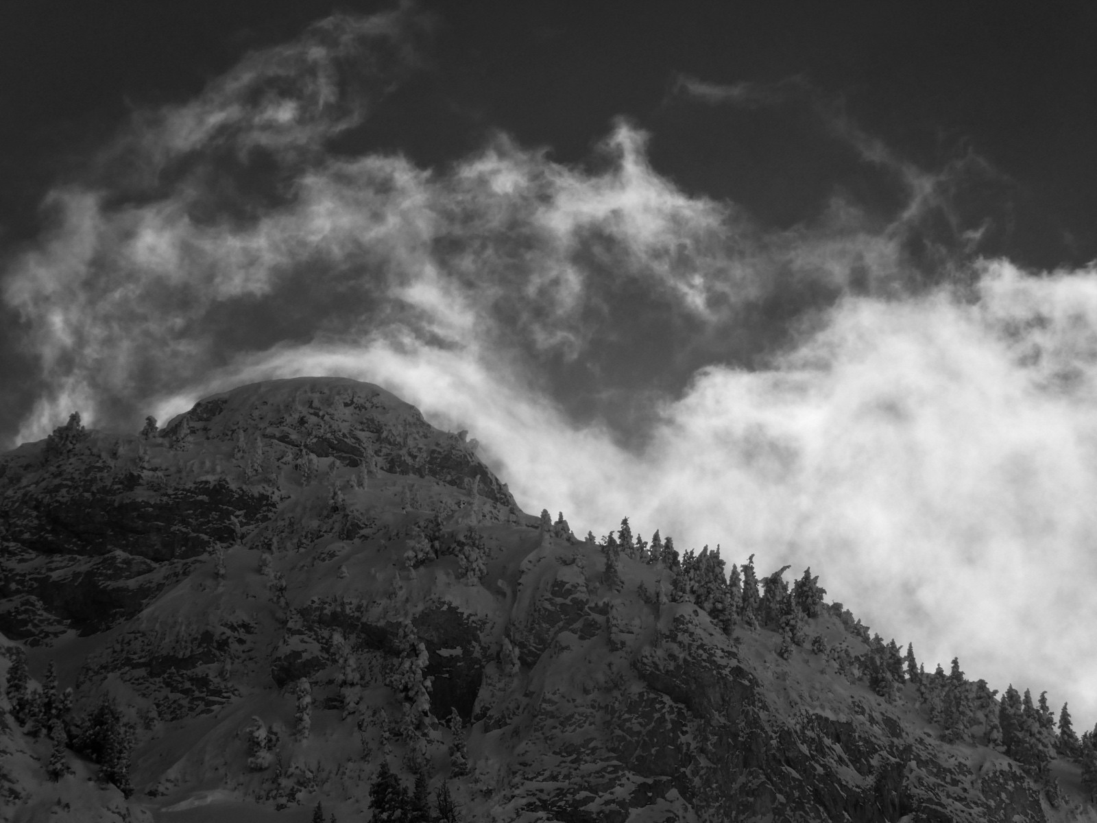 &nbsp;&nbsp;photo runcec