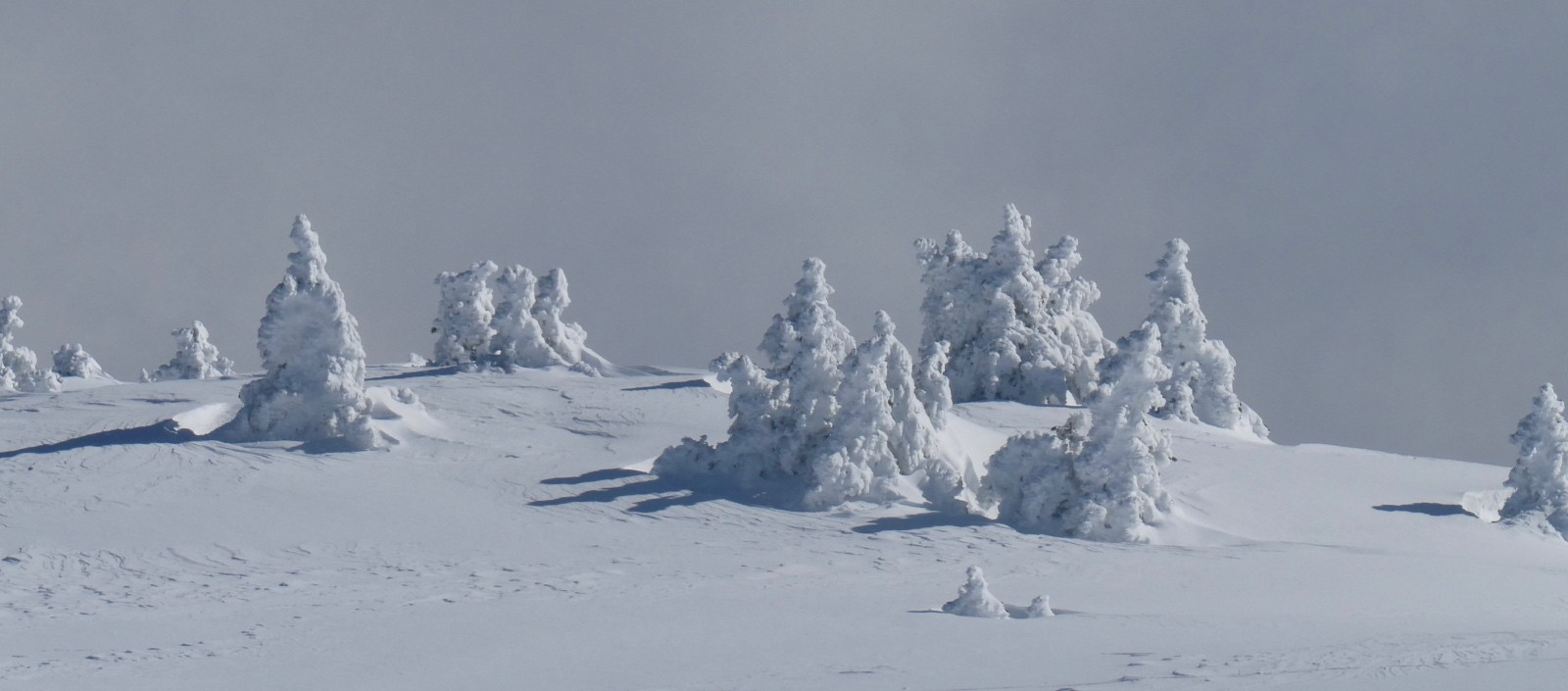 Pas-chassons au Pas des Bachassons (y Petit Veymont)