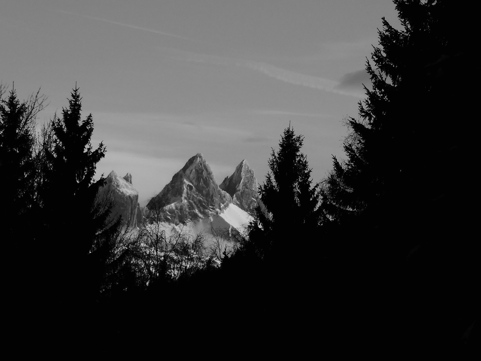 #23 Mes Aiguilles adorées!h😍 Mes Aiguilles adorées!h😍