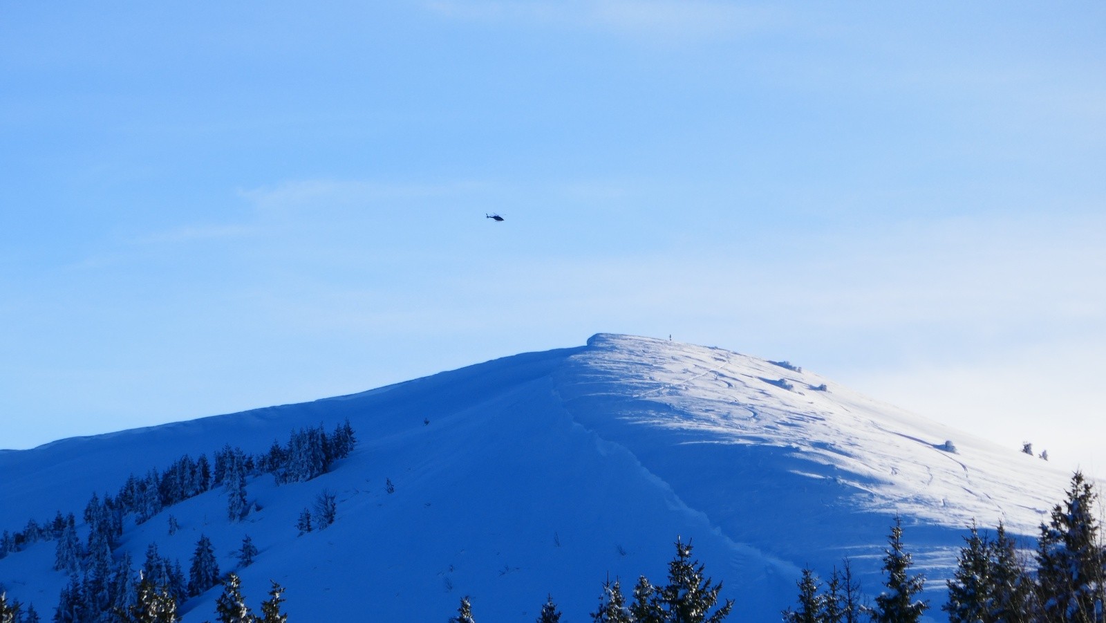 #15 Grand Chat... Grand Chat...