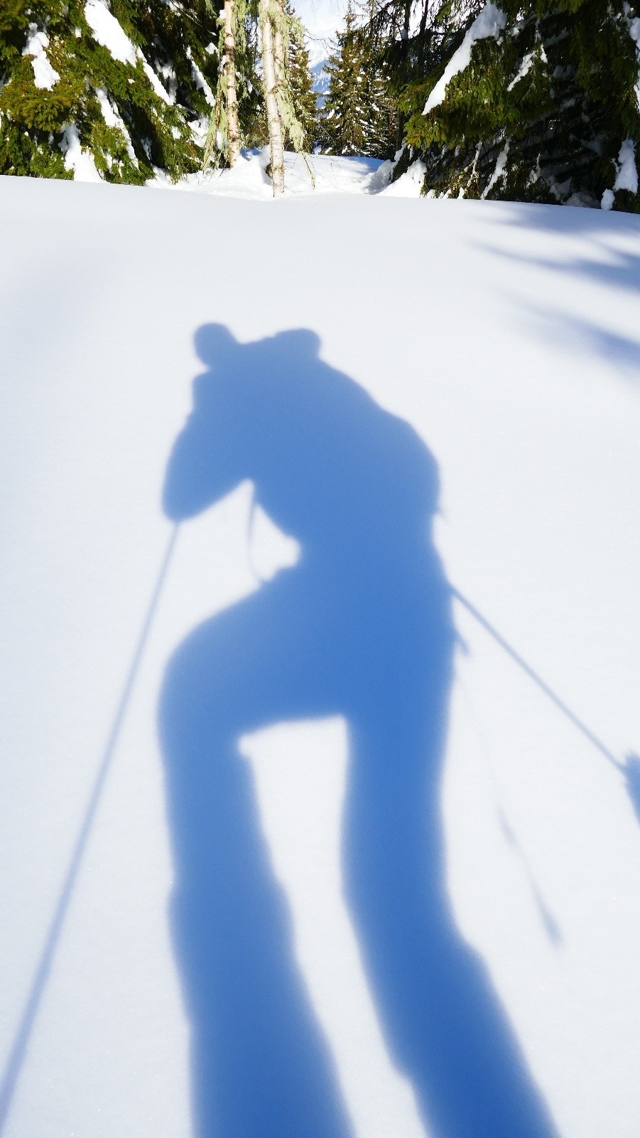 #8 Zinzin de solo... Zinzin de solo...