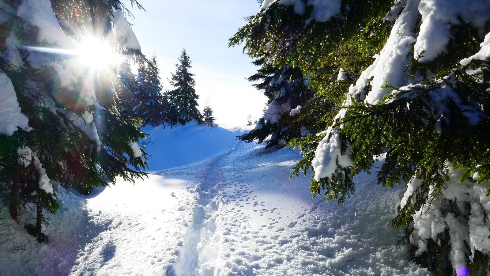 #10 Content d Content d'avoir cette trace de raquettiste...