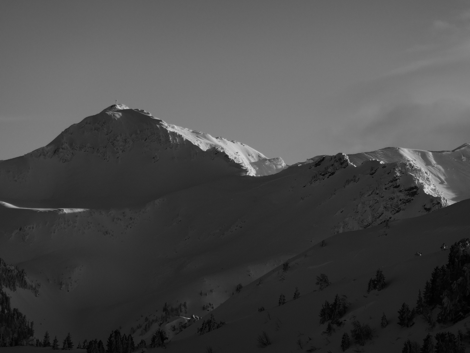 #16 Rognier! Rognier!