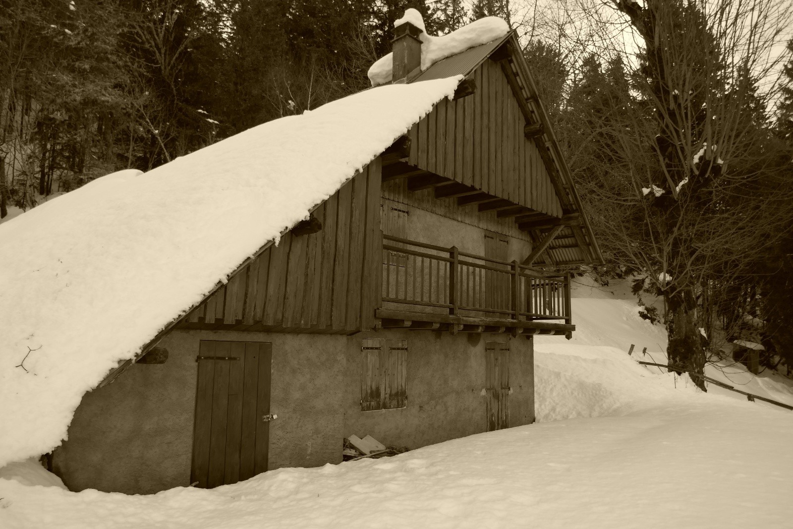 #24 Habert local... Habert local...