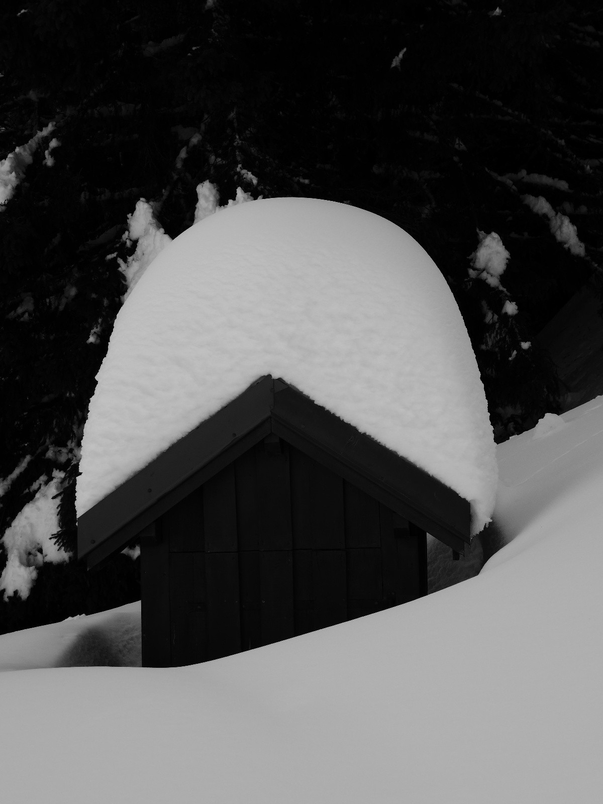 #7 Nivôse du p Nivôse du p'tit coin...