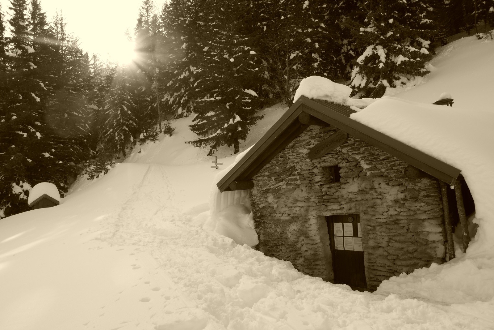 #6 Belle quantité à la Jasse! Belle quantité à la Jasse!