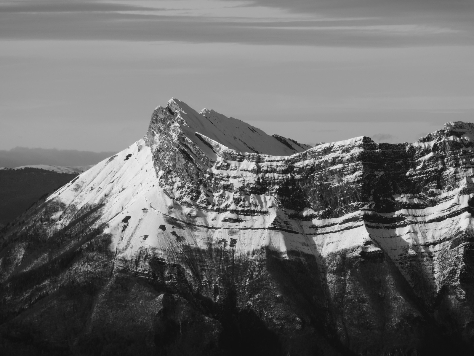 #17 Pour l Pour l'ami Pierre!