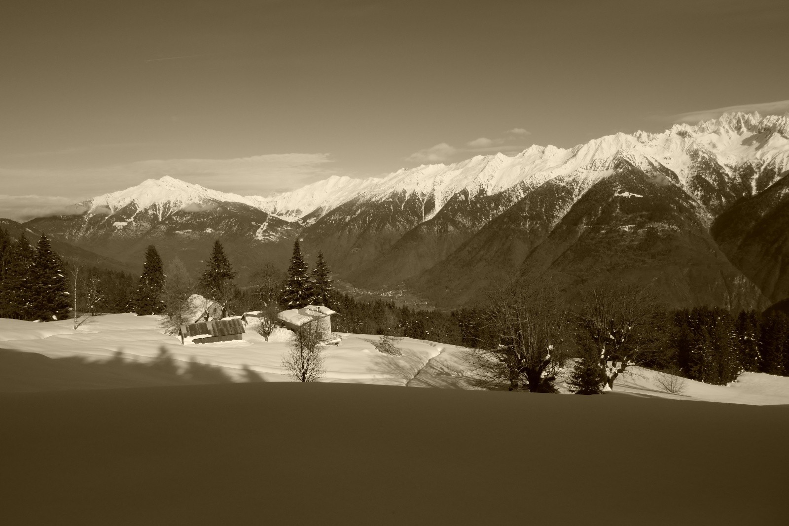 #4 Ambiance sépia... Ambiance sépia...