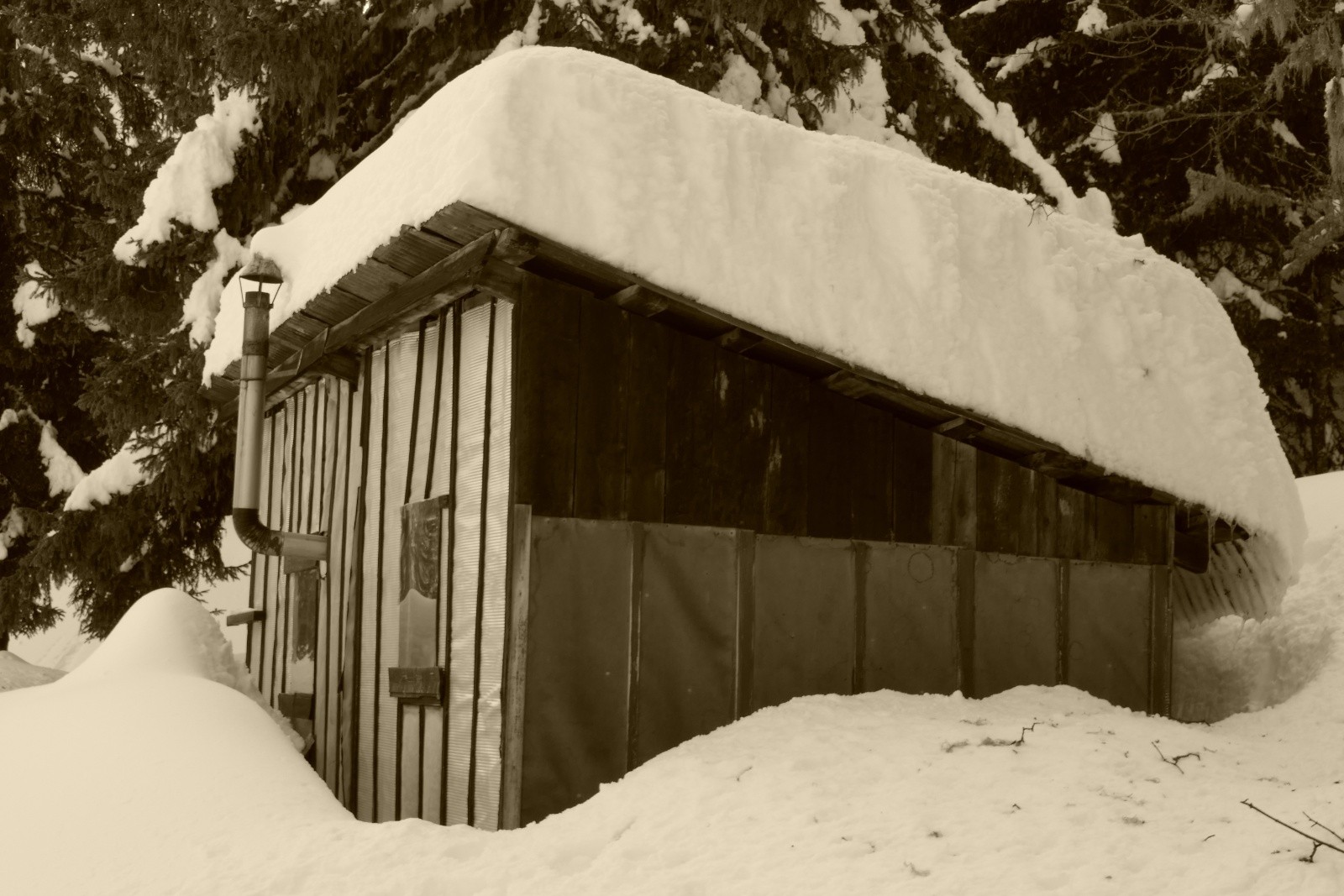 #5 Nivôse de la cabane des chasseurs... Nivôse de la cabane des chasseurs...