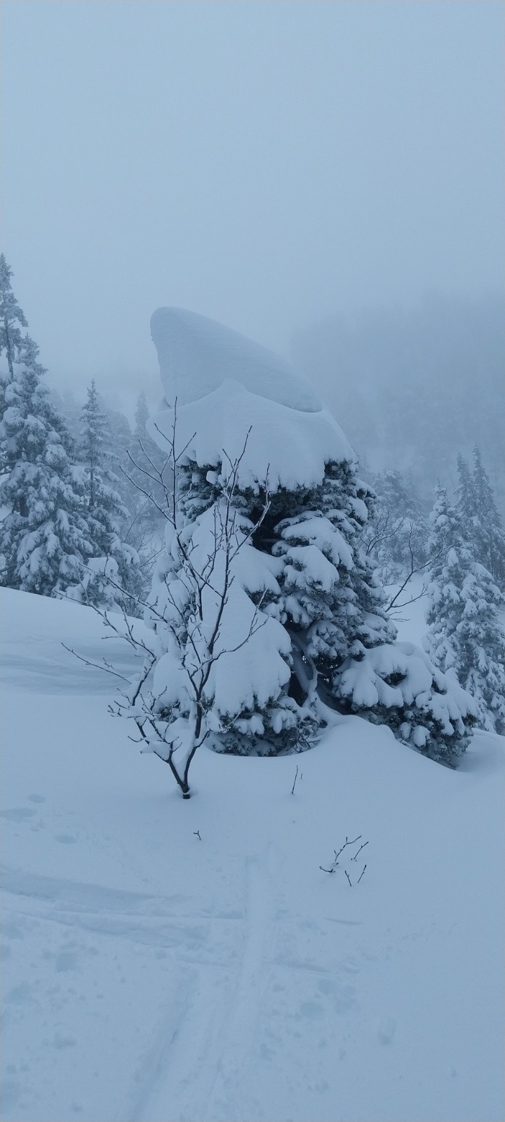 Sacré chapeau&nbsp;