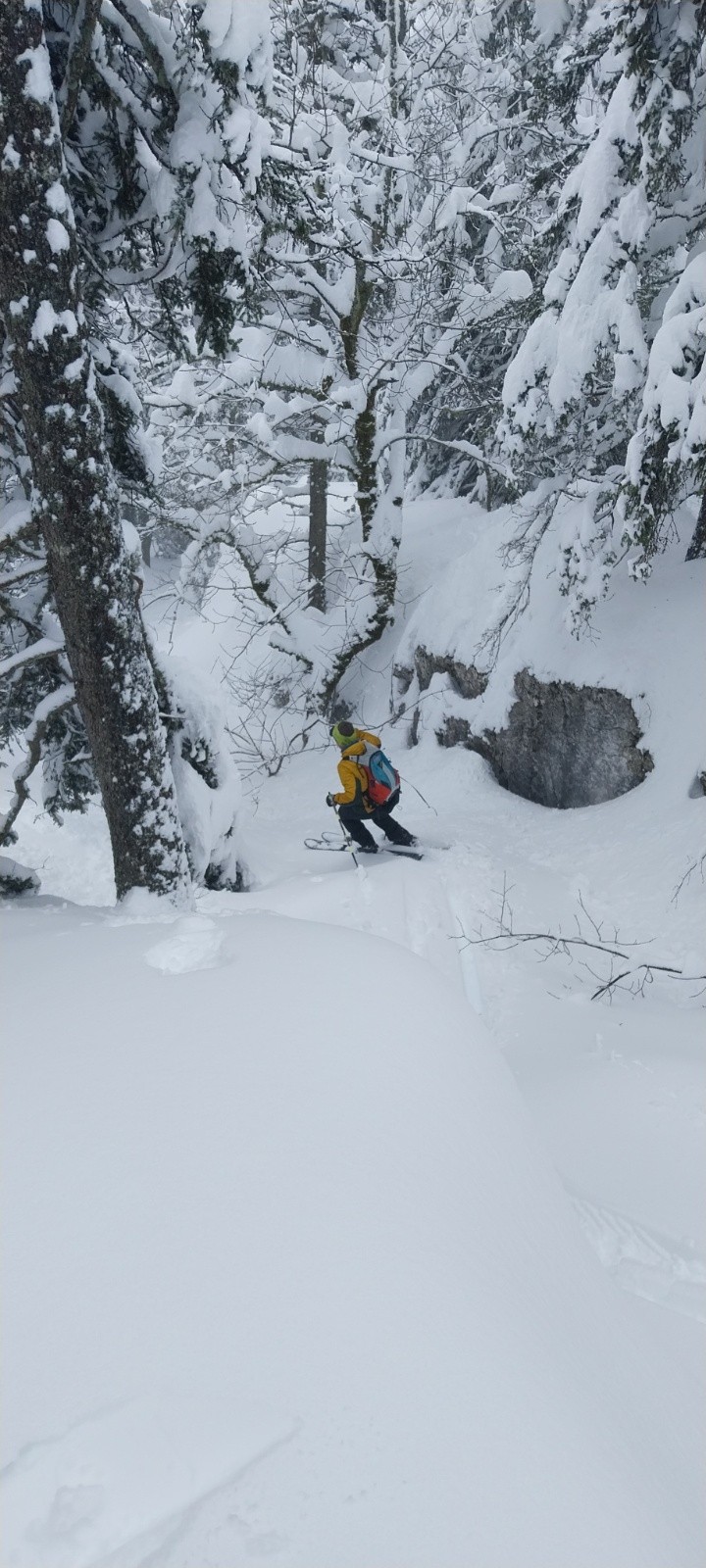 &nbsp;Raphael heureux