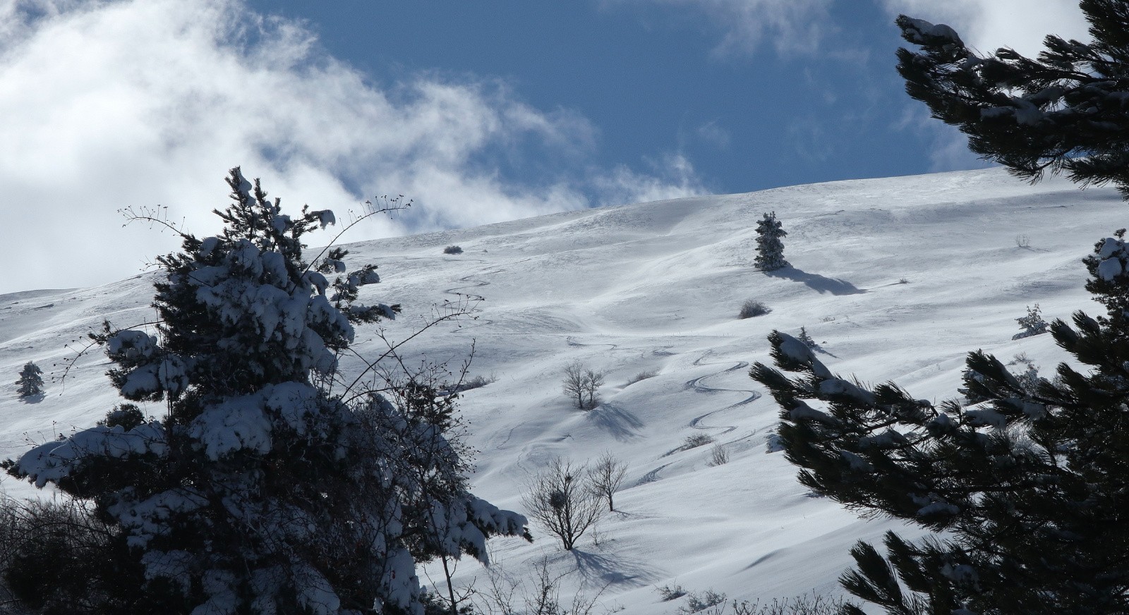 Vaste versant Nord&nbsp;