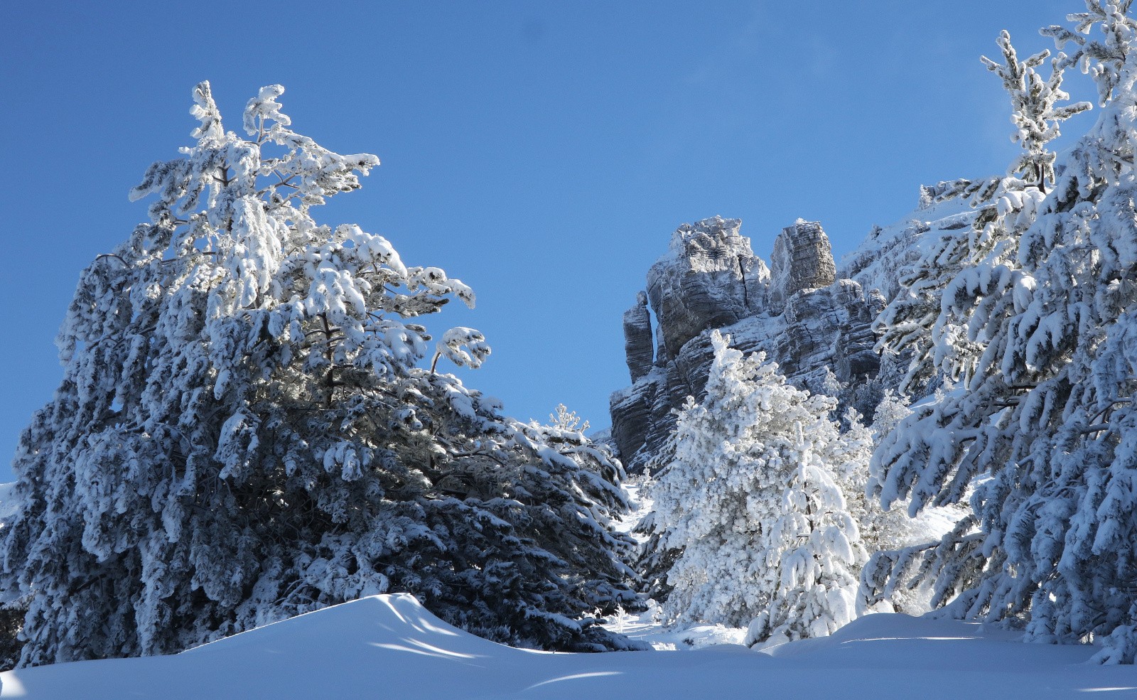 le Château de la Mole&nbsp;