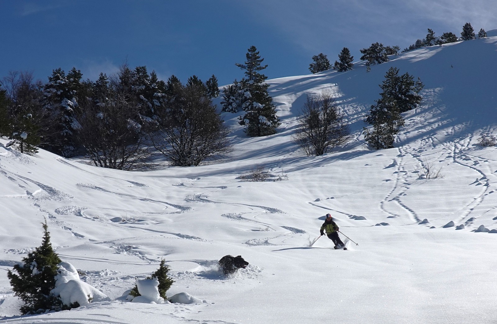 Crête du Raus, versant Nord&nbsp;&nbsp;