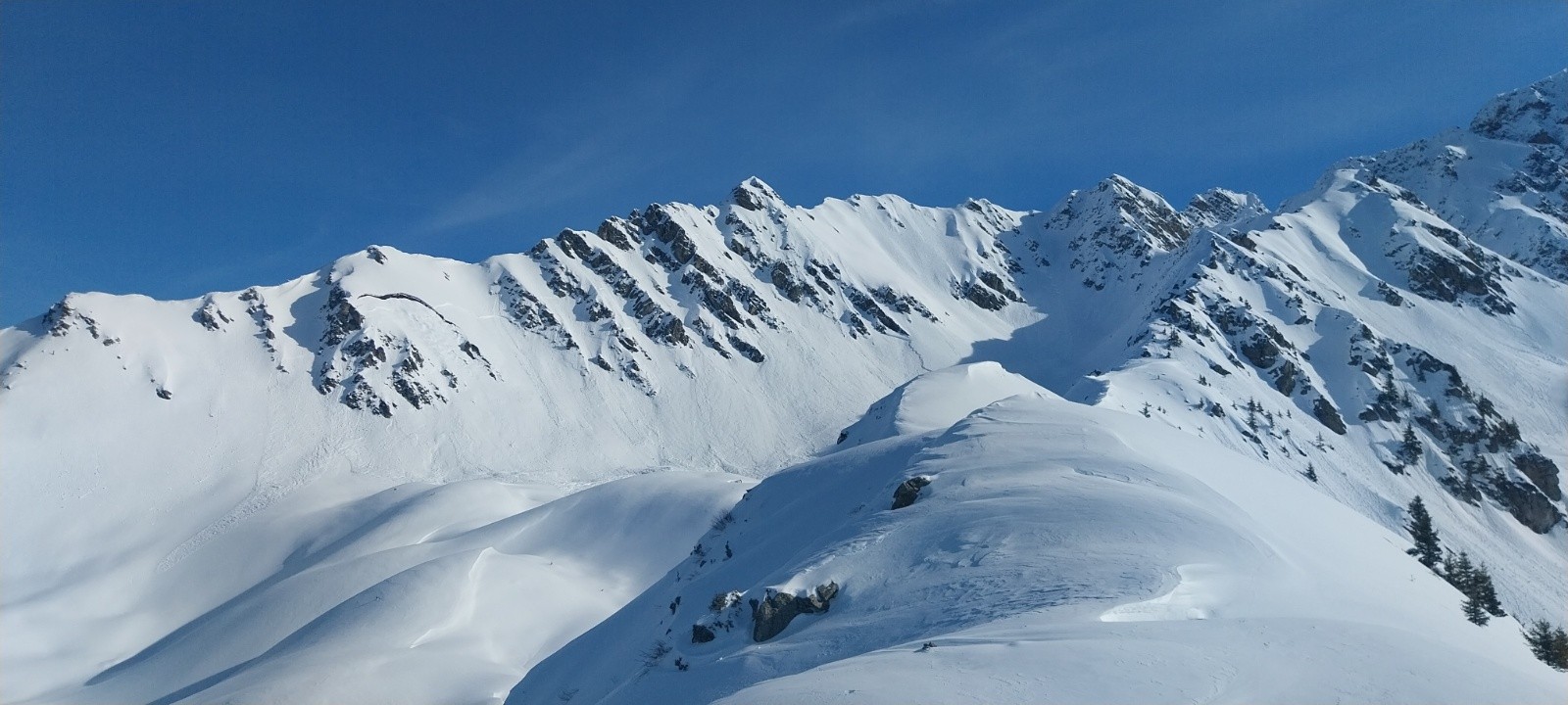 une belle gueule de baleine&nbsp;