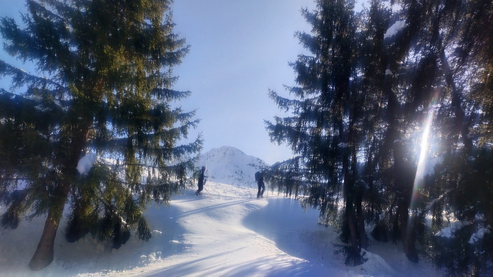 &nbsp;Sortie de forêt&nbsp;