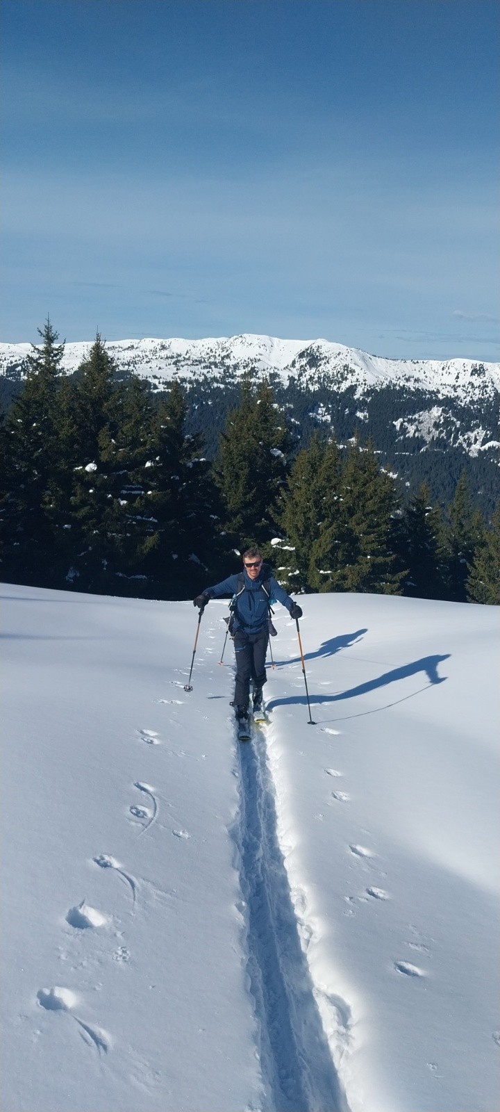 &nbsp;Ludo a deux ombres