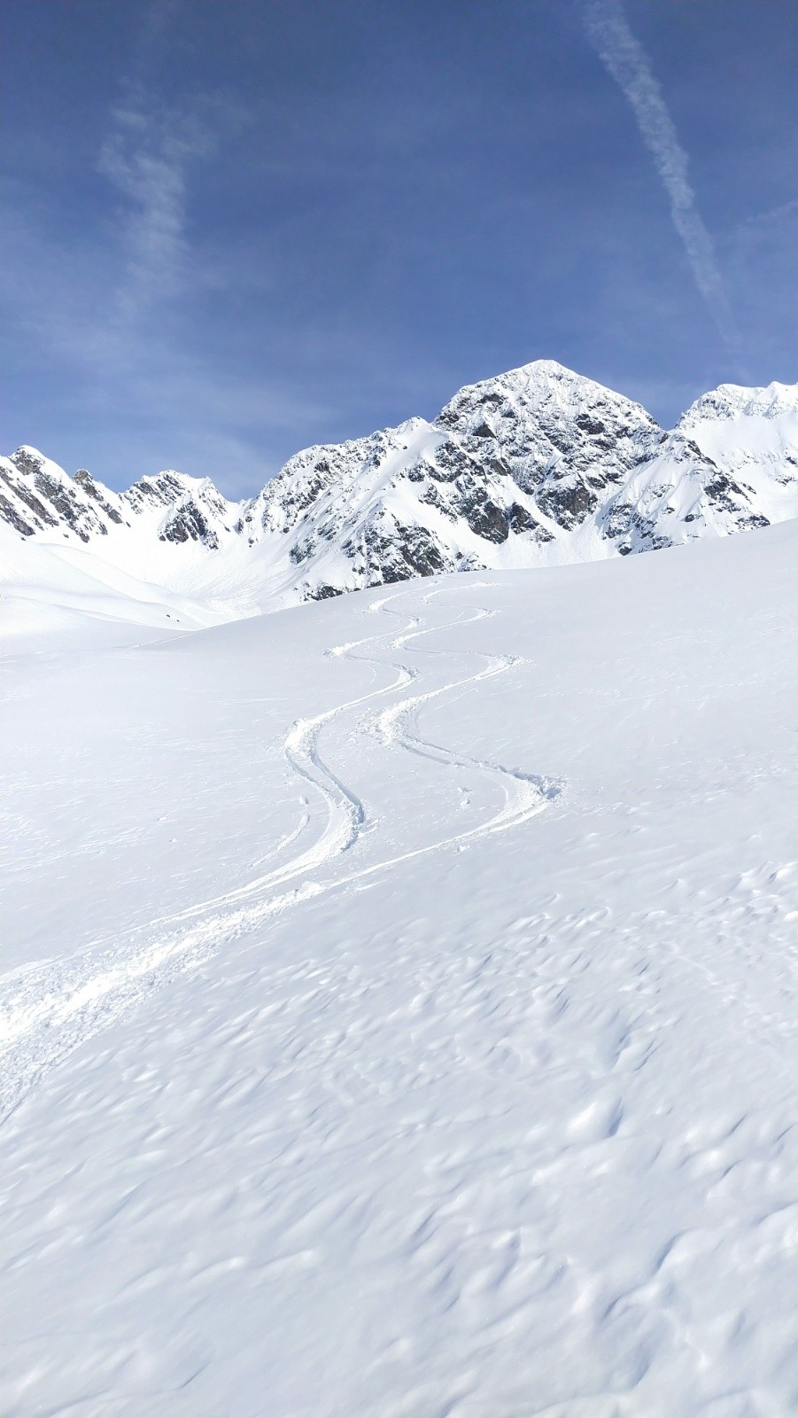 &nbsp;Signatures familiales