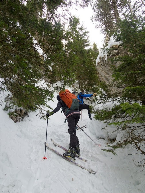 Dans le pas de la bergère 