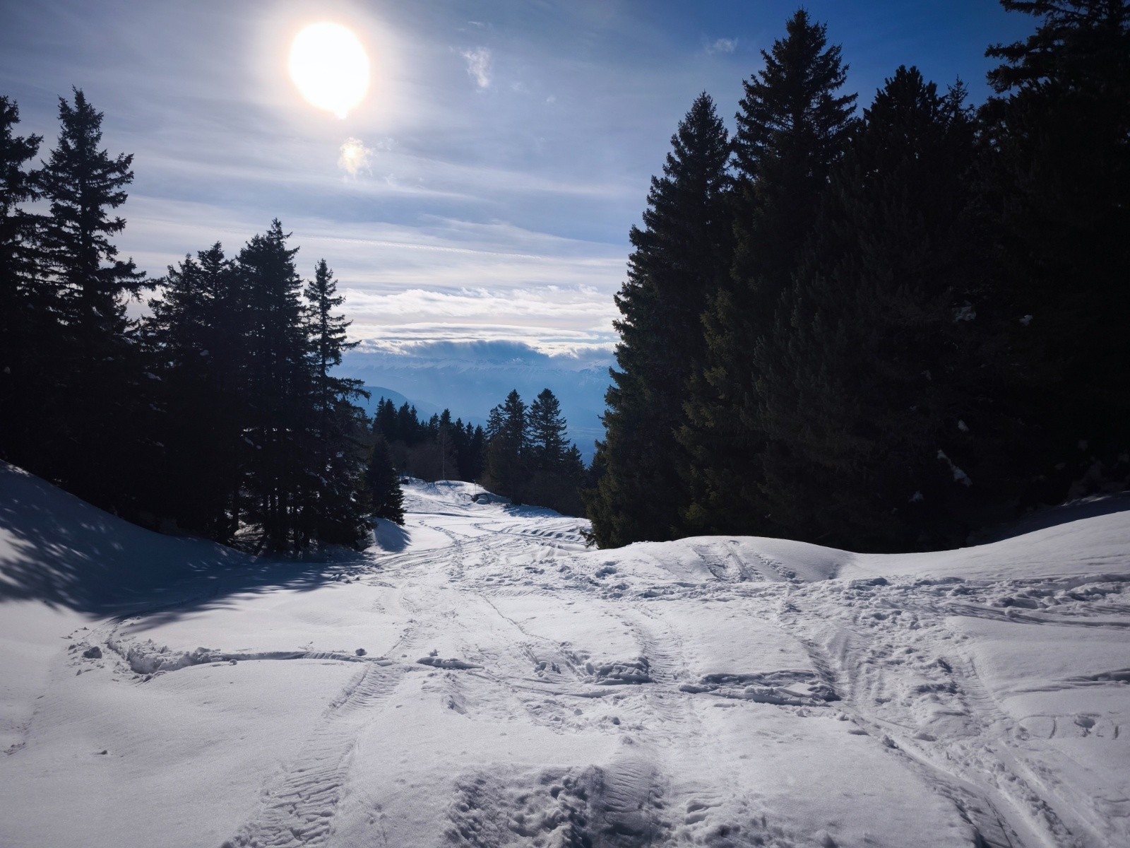 #3 Poudre légère présente encore proche des sapins, je n Poudre légère présente encore proche des sapins, je n'aurais pas pensé à cette altitude et cette chaleur