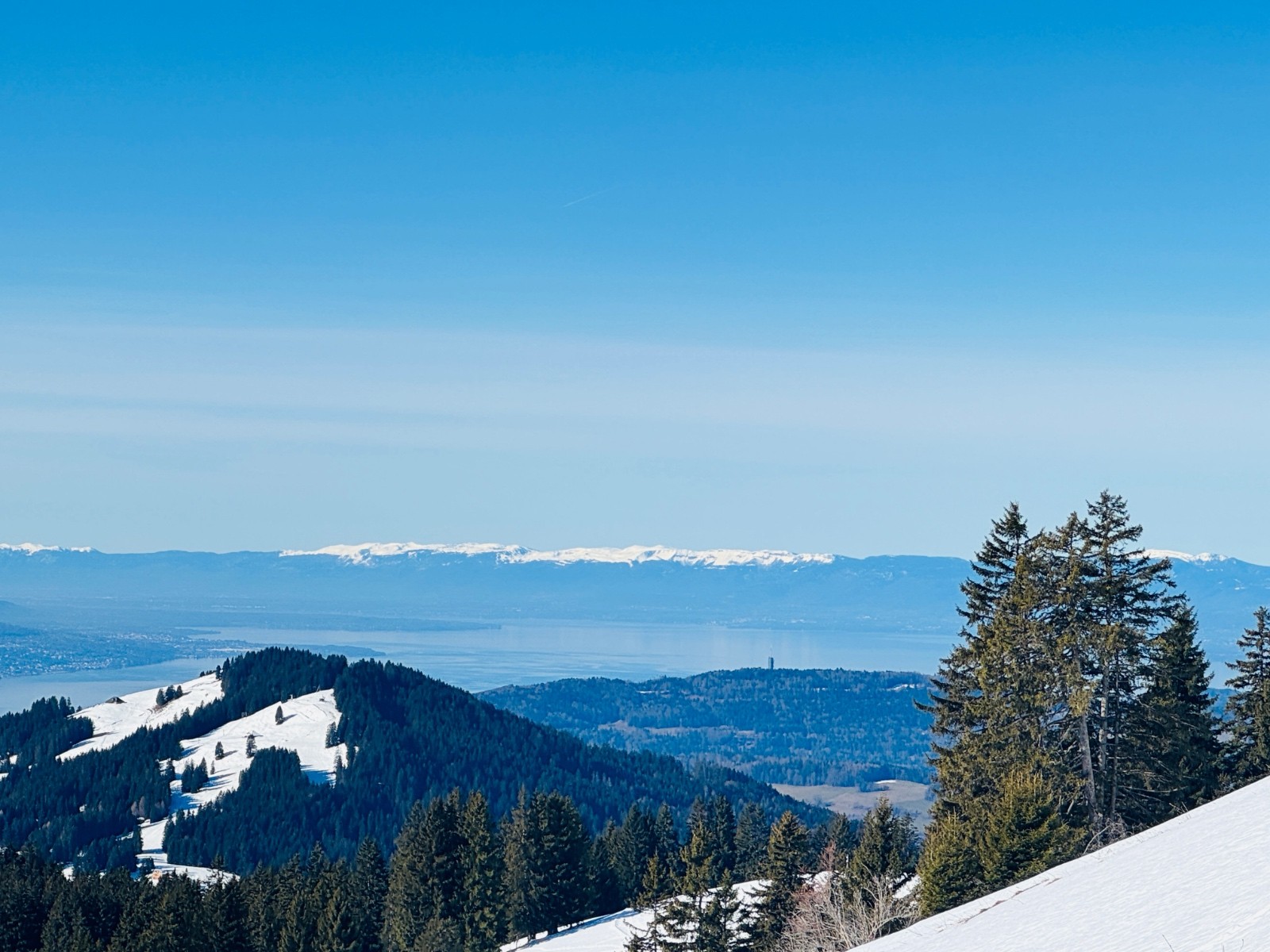 Jura bien enneigé. Mont Pèlerin sec.