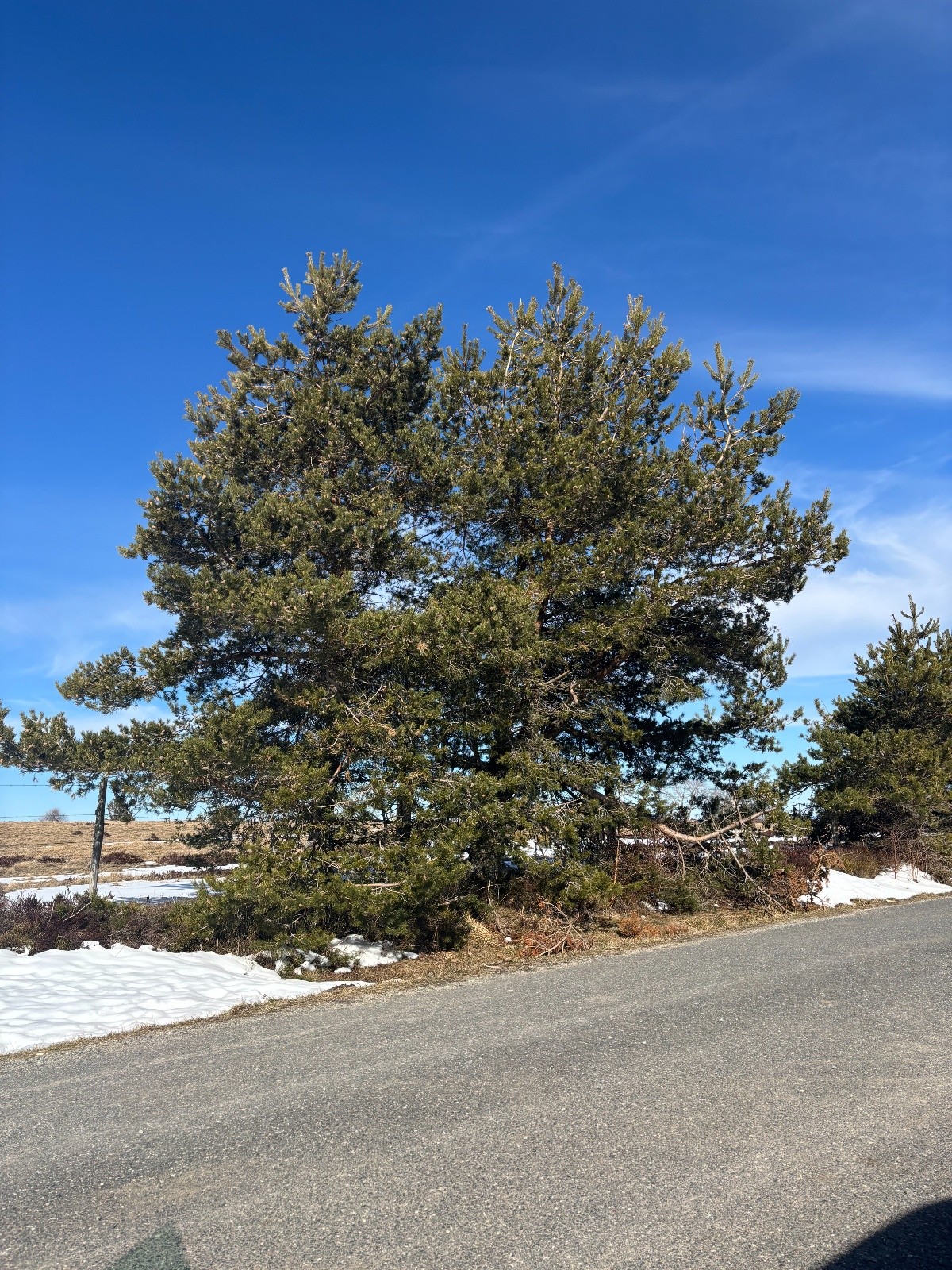 #8 Ça chauffe sévère... Ça chauffe sévère...