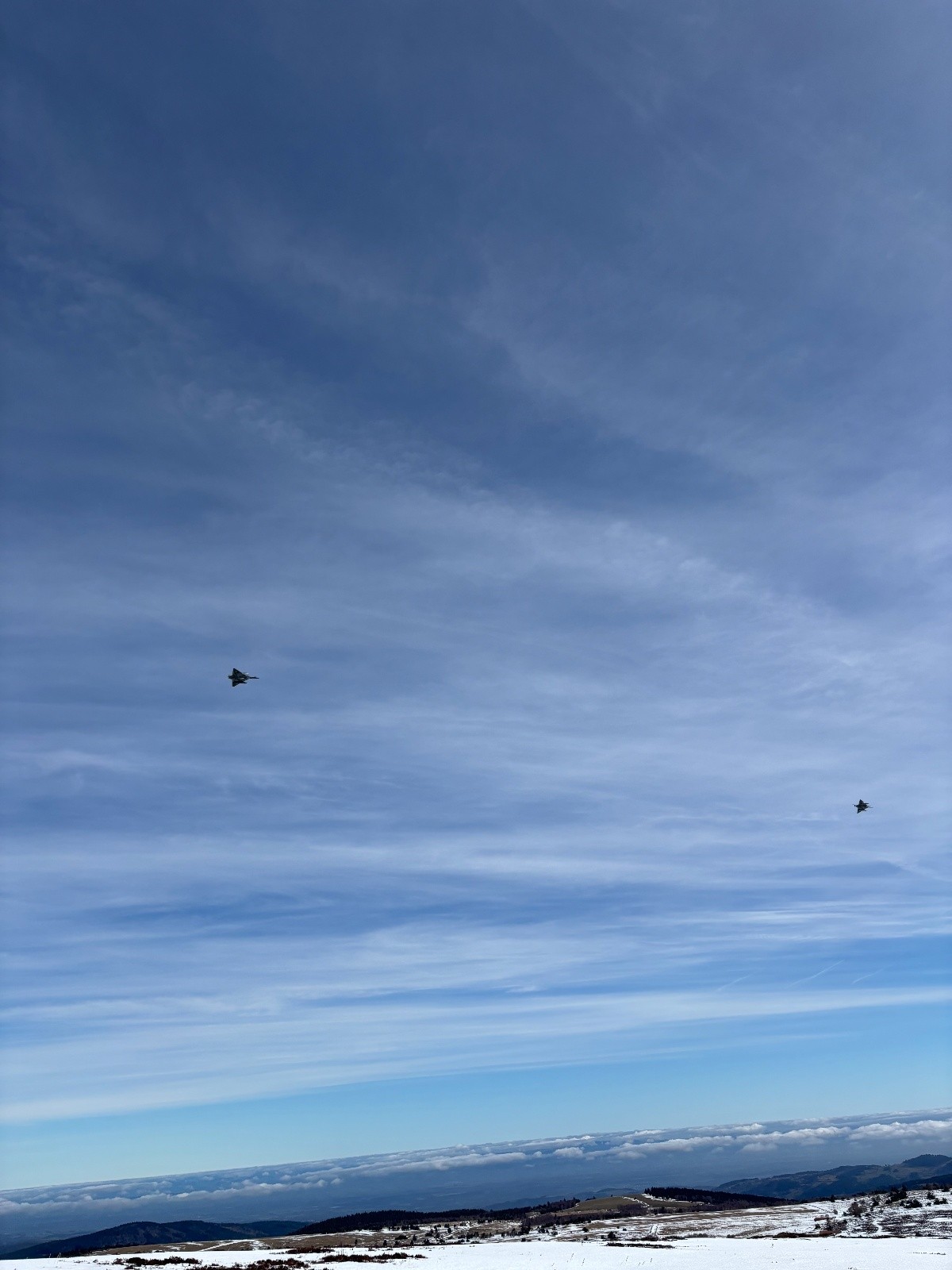 #2 De drôles d De drôles d'oiseaux