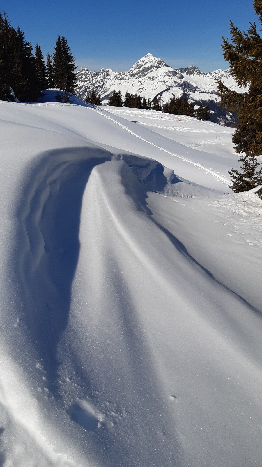 #2 Un rappel des dunes... Un rappel des dunes...