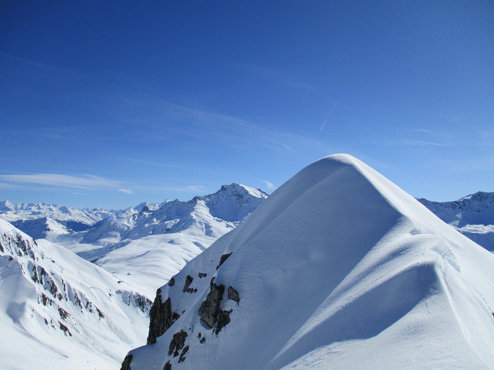 j'ai pas mieux pour Miss Taramont !! un cheval noir en fond