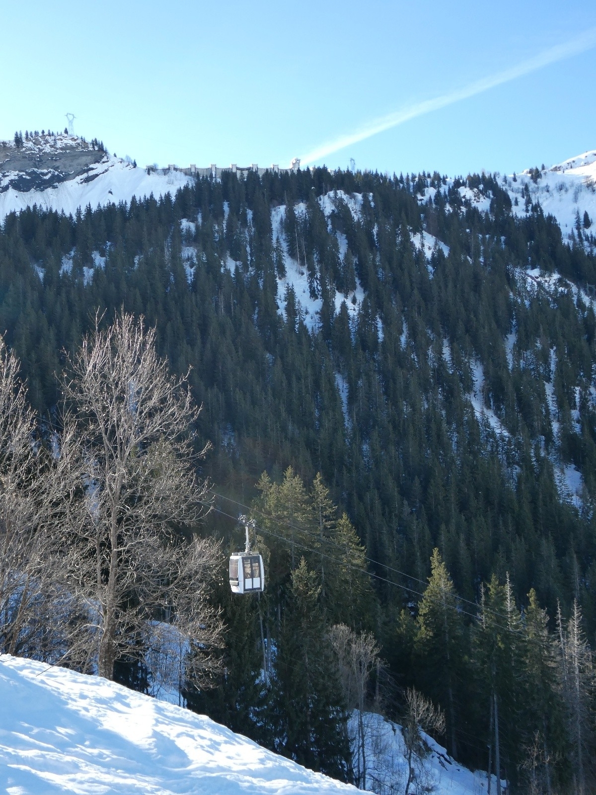 #1 Montée sous les télécabines Montée sous les télécabines