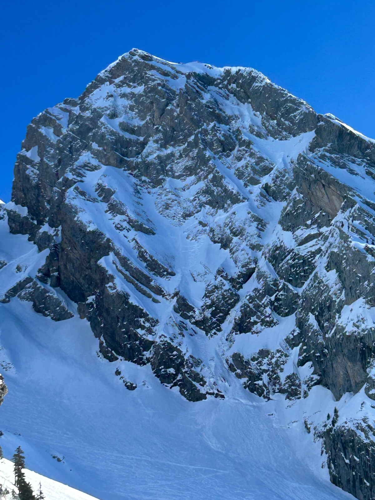 #4 Aravicime skié Aravicime skié