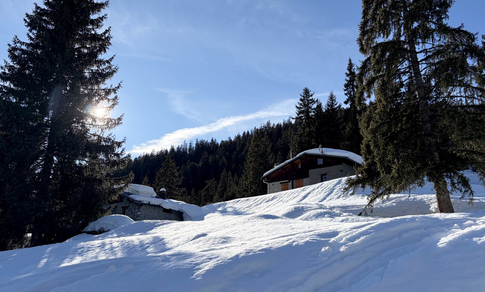 #12 la Gitte la Gitte