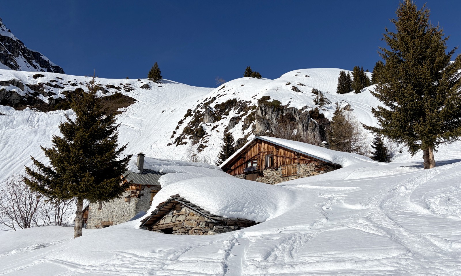 #9 les Maraiches les Maraiches