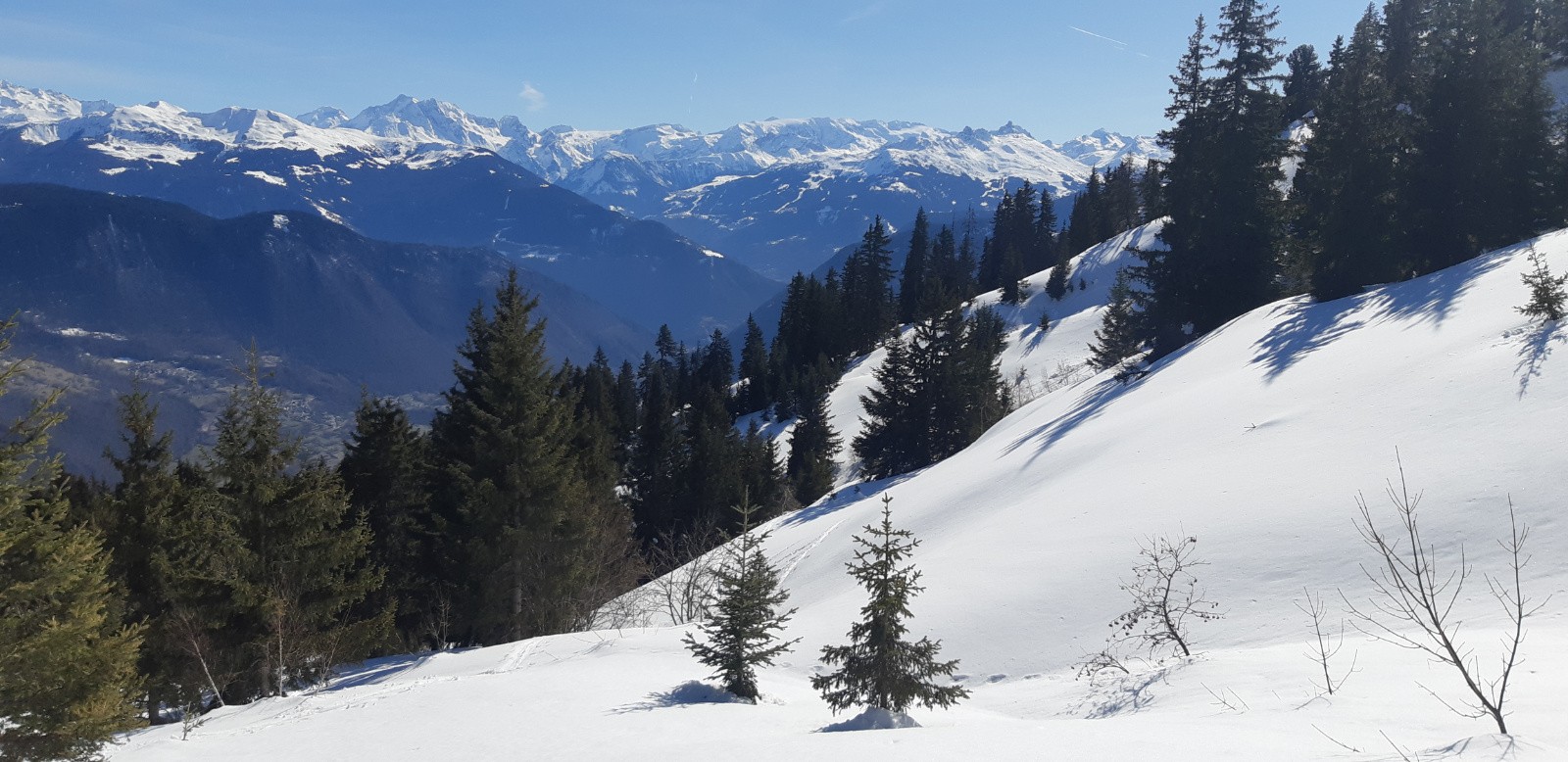 #1 Après un long cheminement en forêt Après un long cheminement en forêt