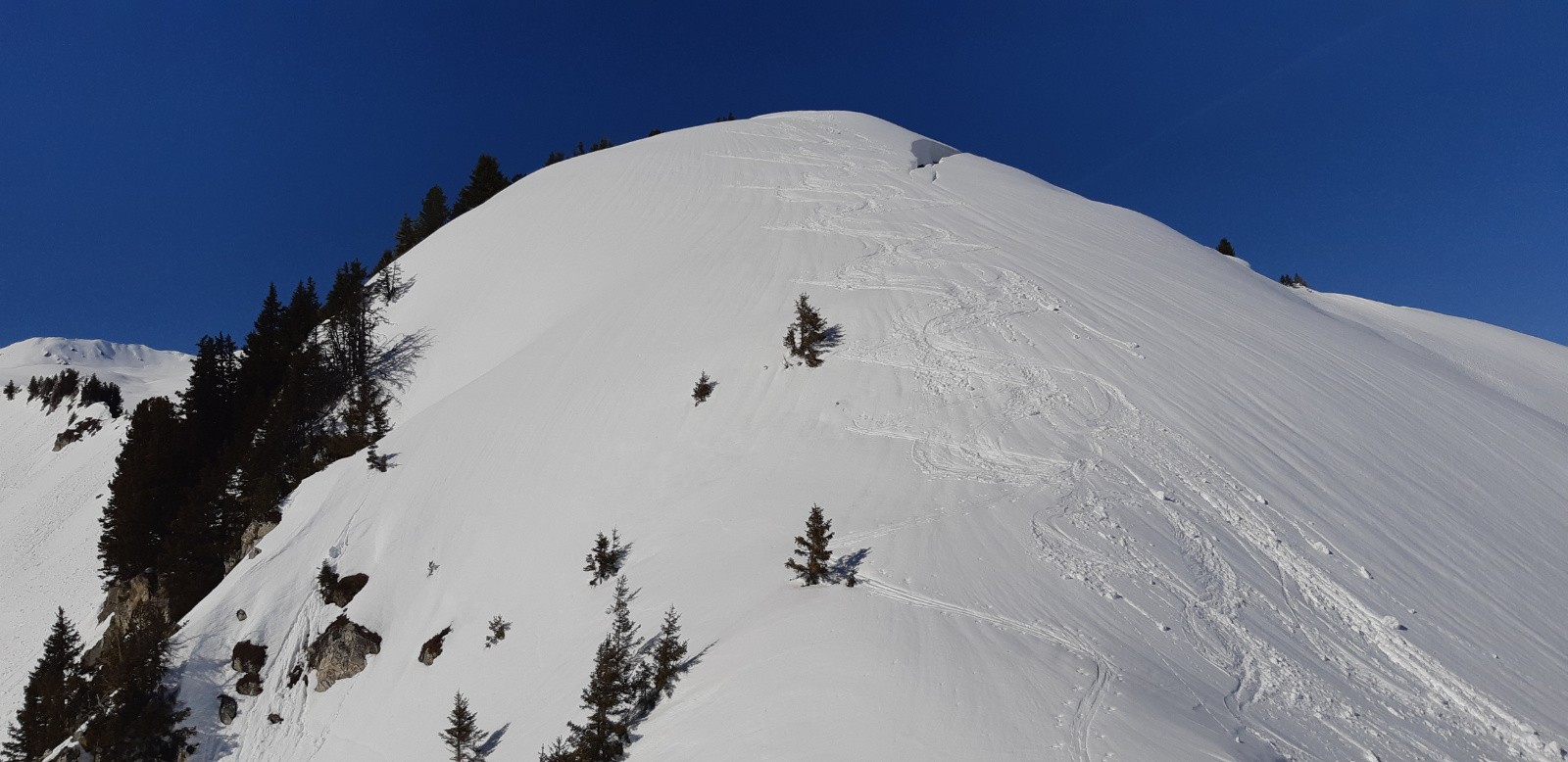 #5 la bosse sommitale la bosse sommitale