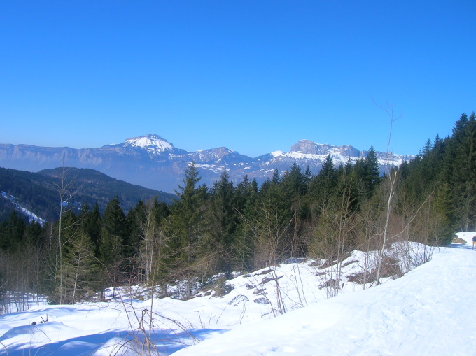 la charteuse : La chartreuse vue de la route descendant à Prabert