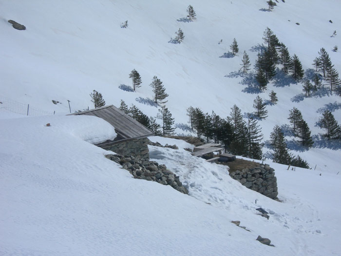 Au pied du sommet : Les bergeries de Muraccioli