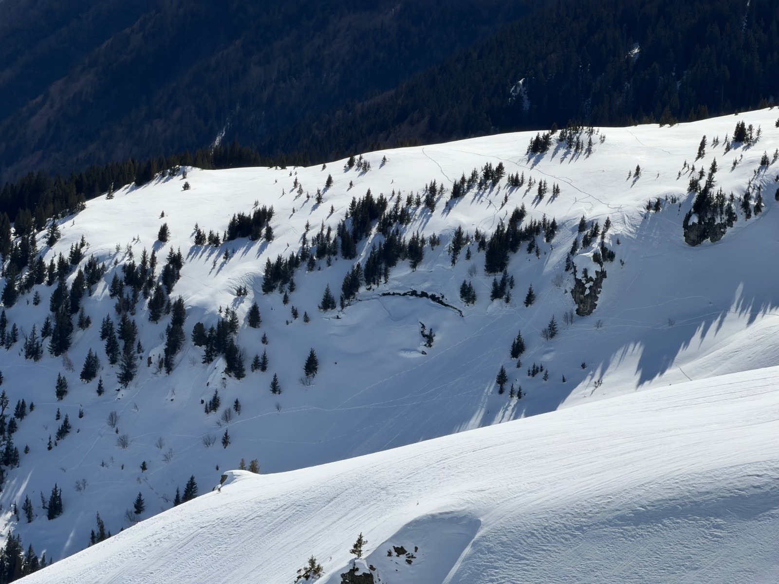 #17 Reptation dans le vallon de Roche Fendue Reptation dans le vallon de Roche Fendue