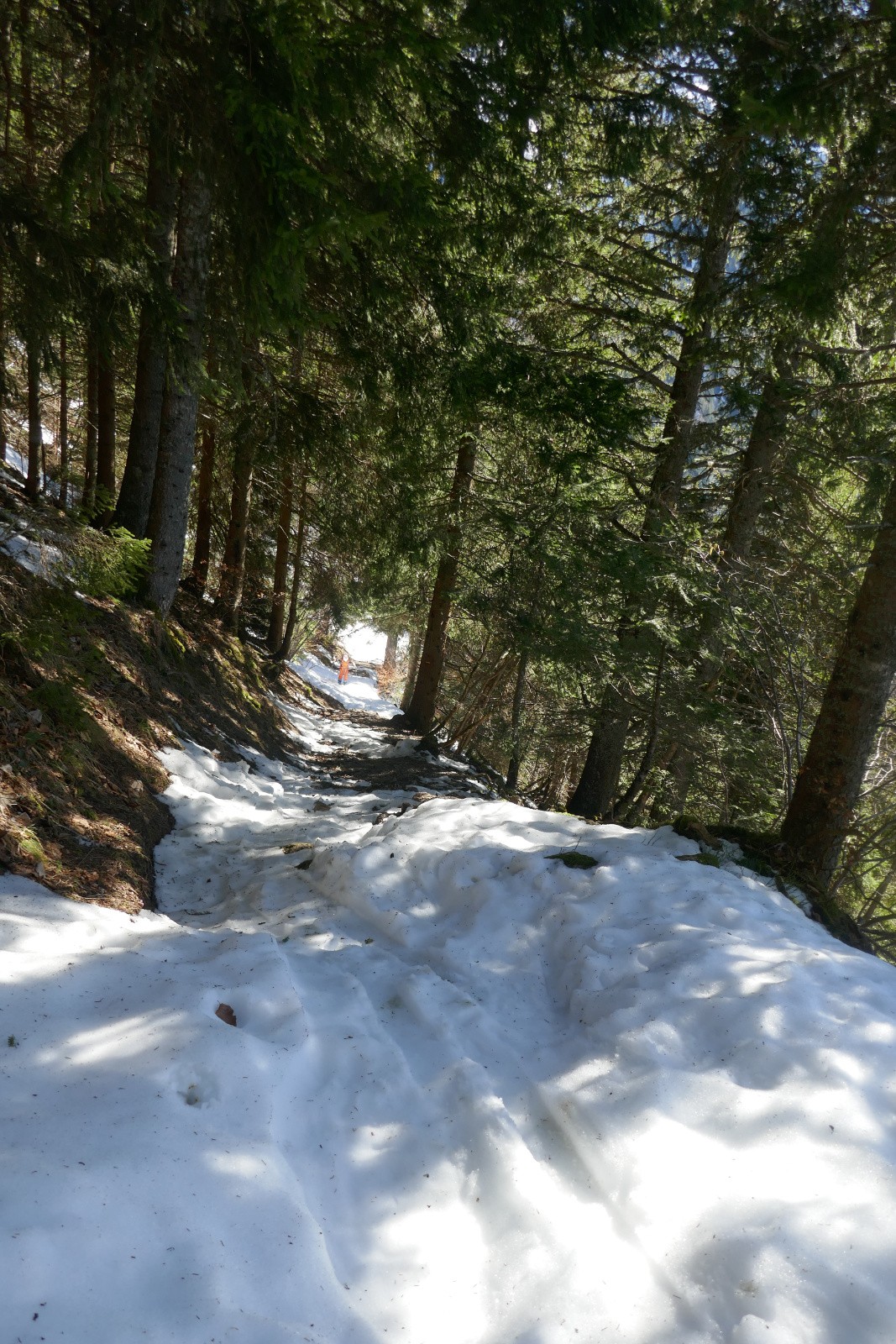 Courte remontée&nbsp; 