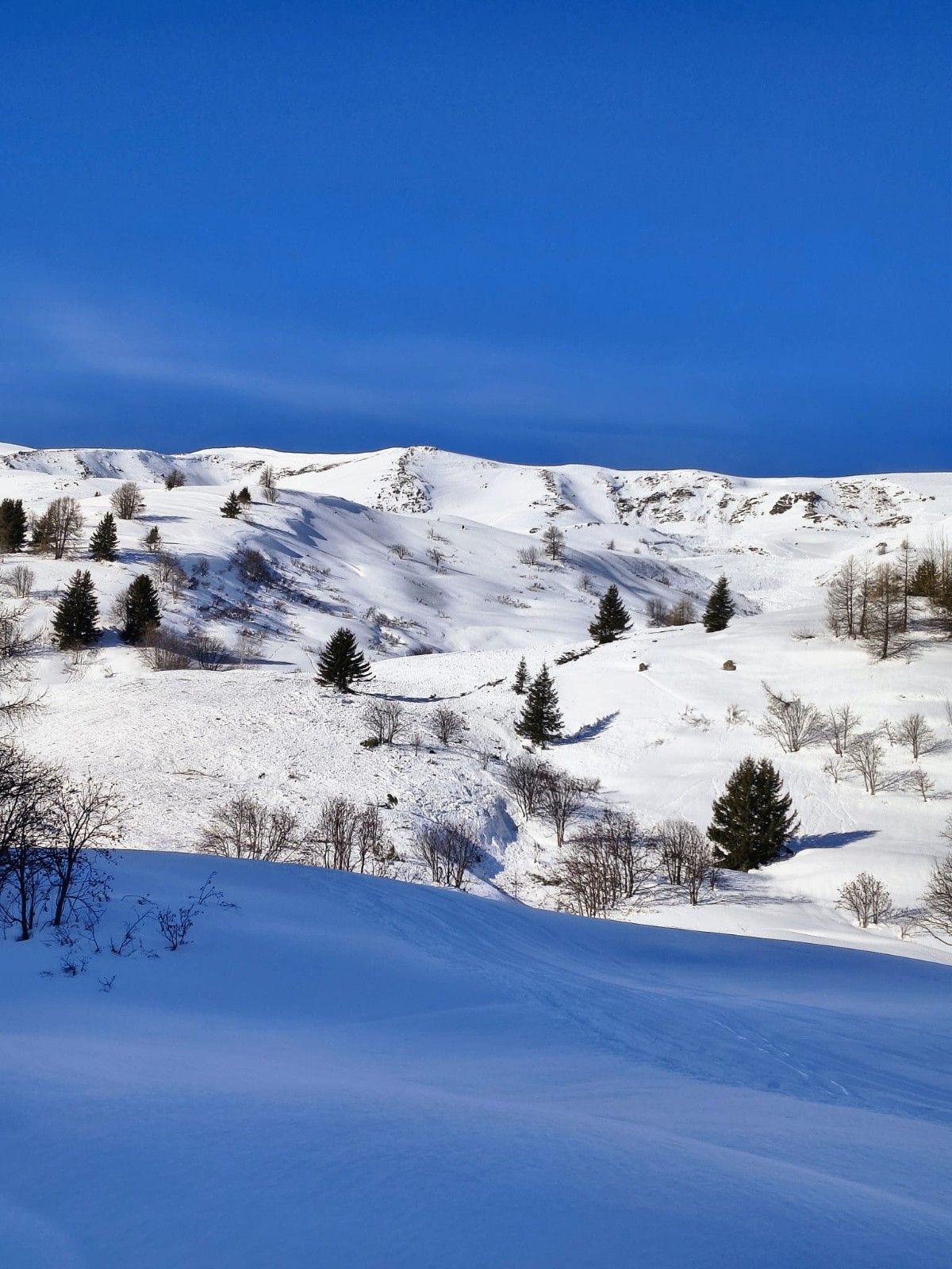 #1 Nombreux dépôts d Nombreux dépôts d'avalanche