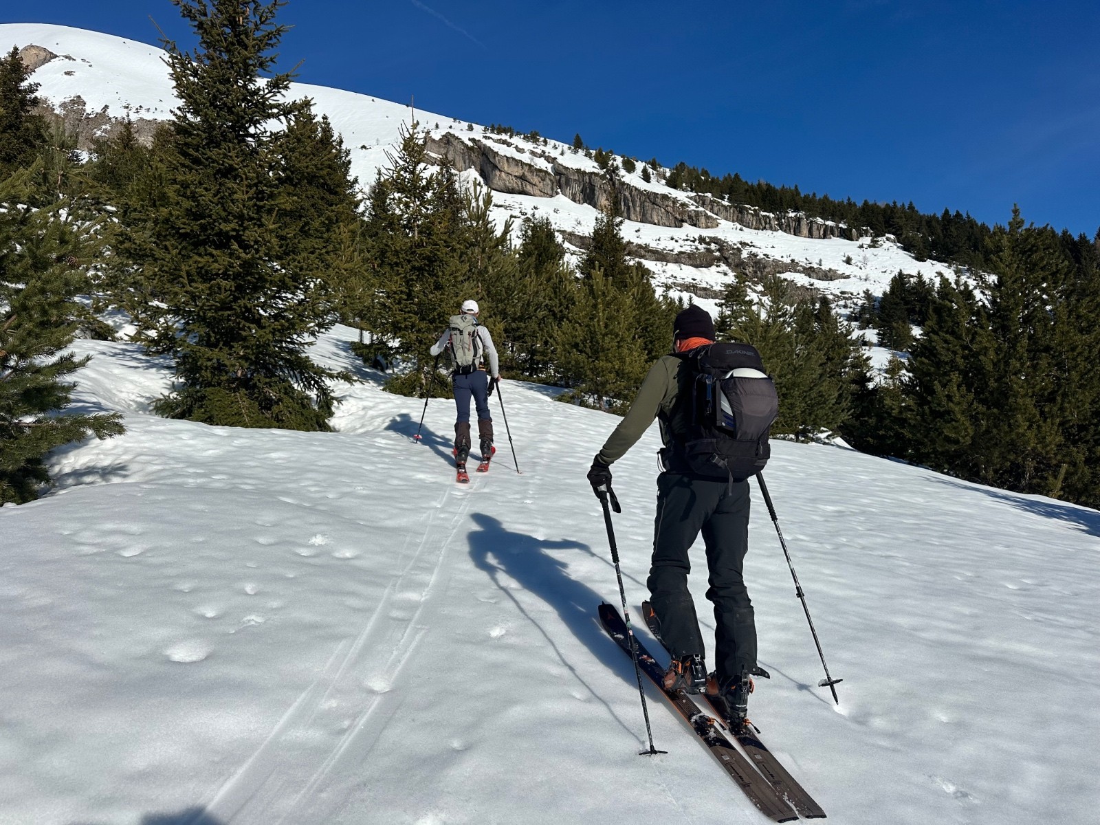 #1 Épicéas, pins crochet et genèvriers. Au fond, le ranc d’où partira une jolie coulée dans la matinée. Épicéas, pins crochet et genèvriers. Au fond, le ranc d’où partira une jolie coulée dans la matinée.