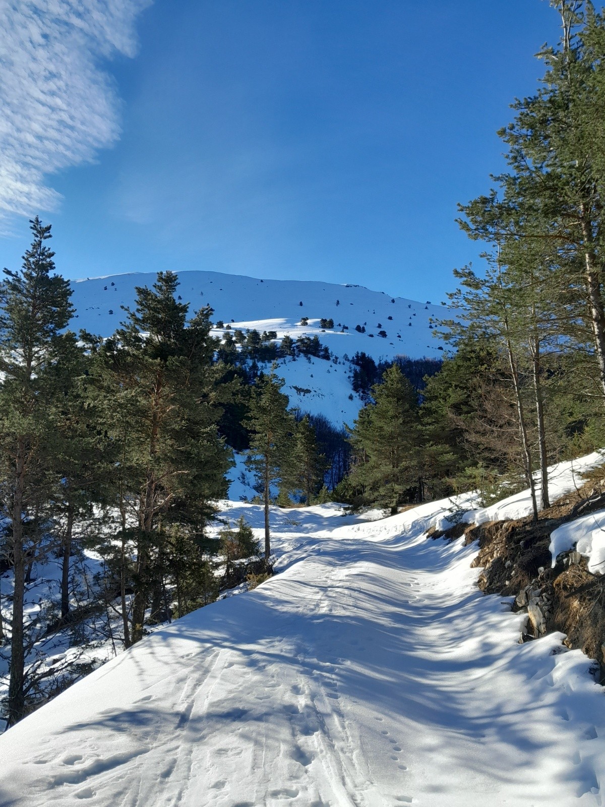 #1 Chemin bien enneigé à 1500 m Chemin bien enneigé à 1500 m