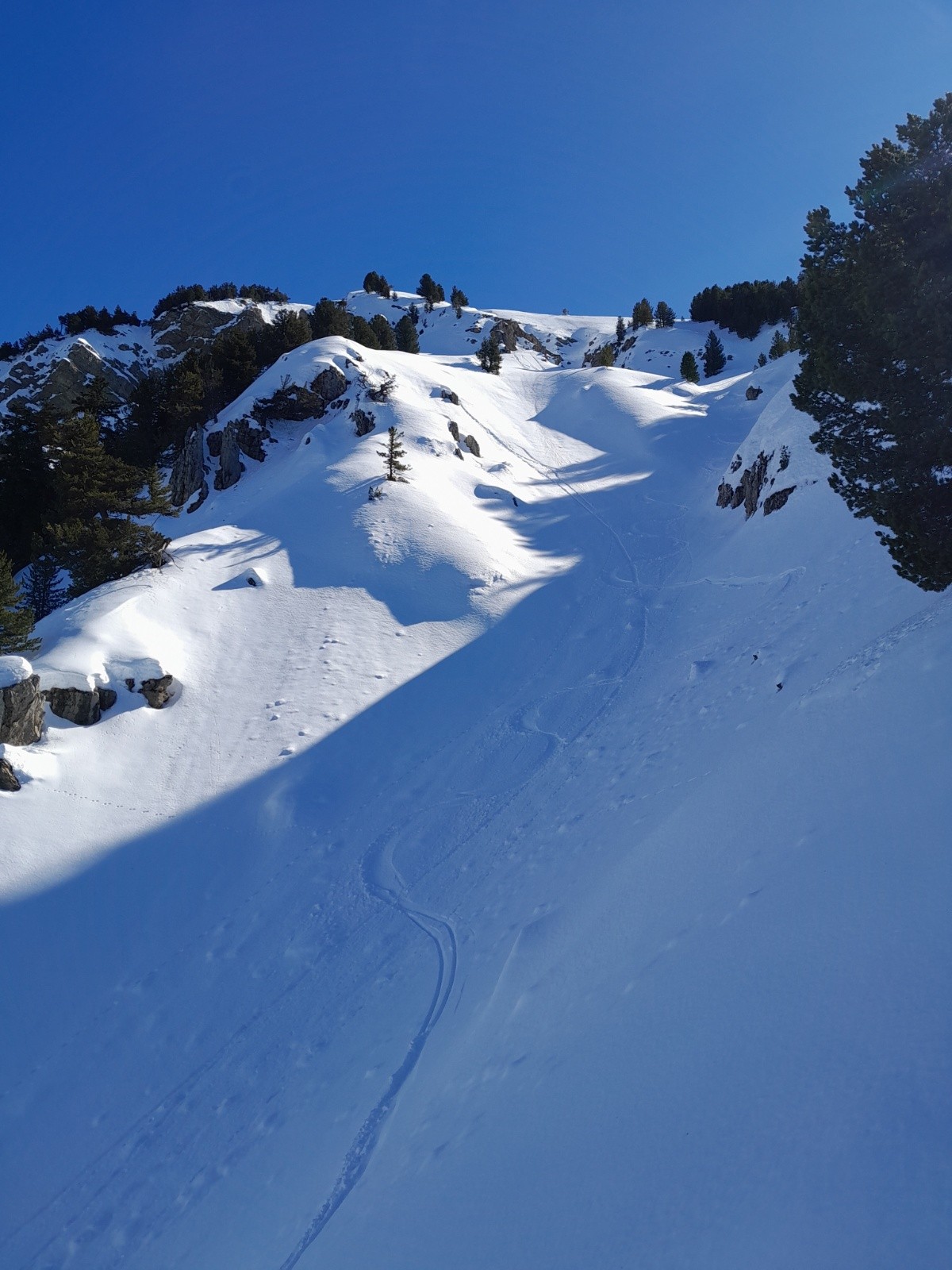 #9 Super poudre ! Super poudre !