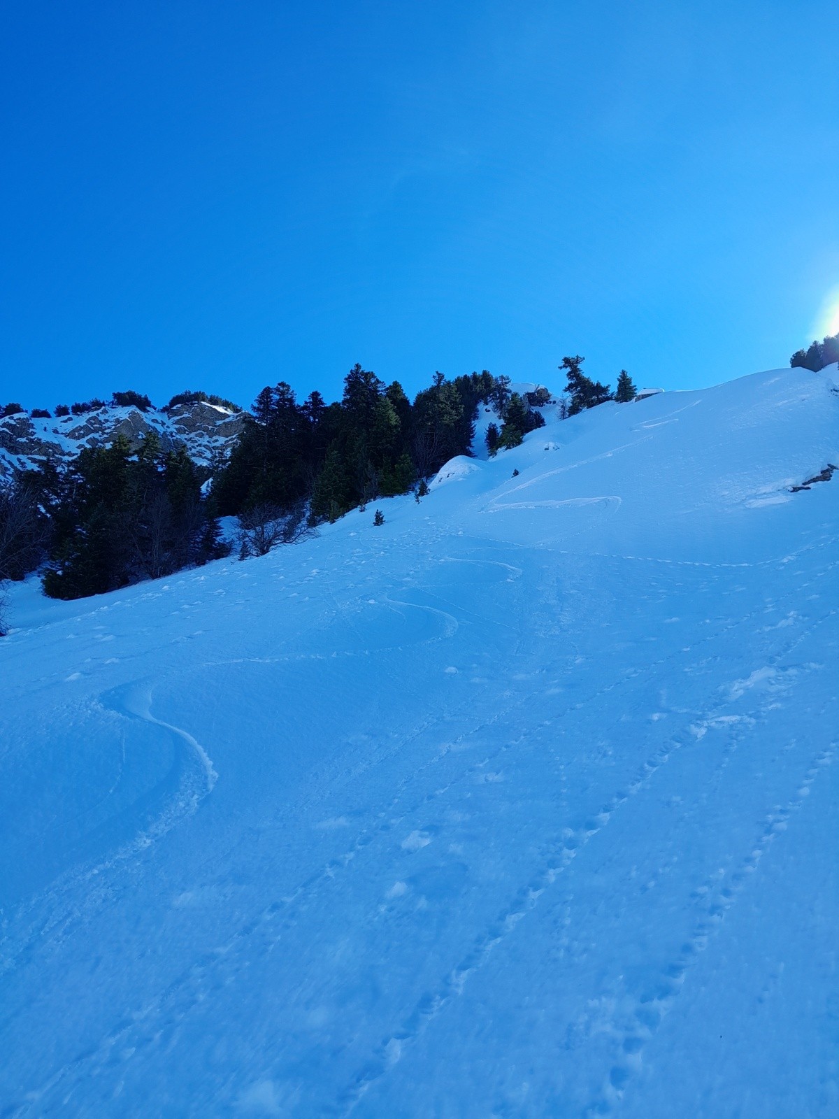 #8 Le ravin de Reynier Le ravin de Reynier