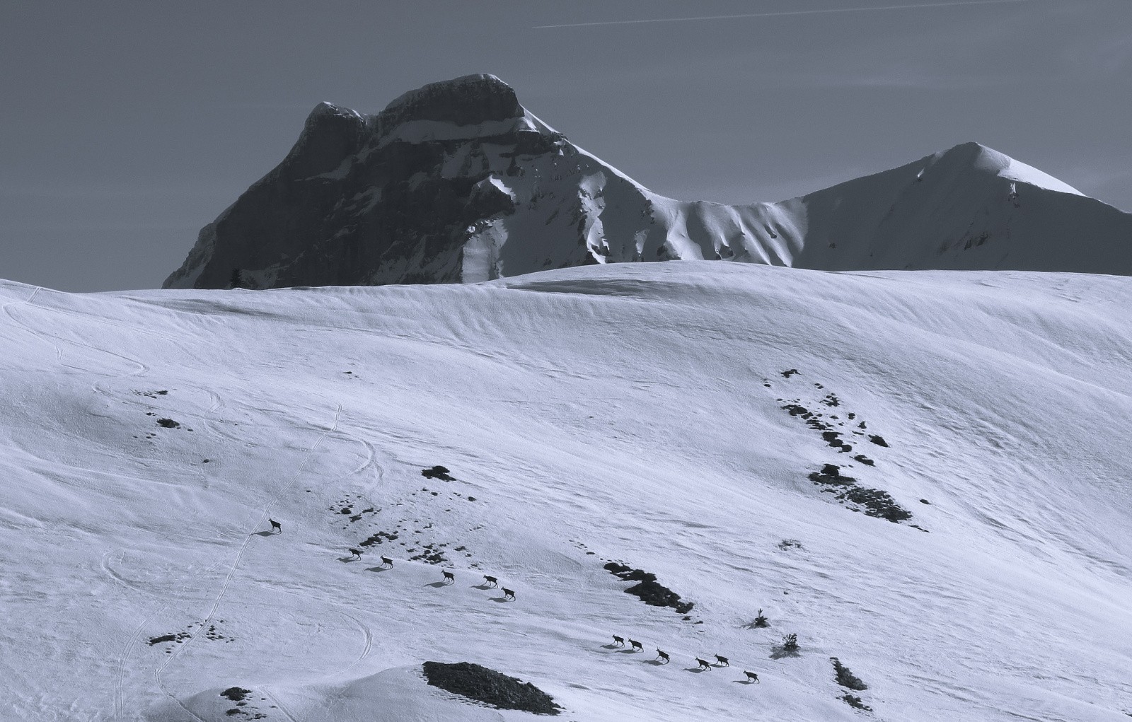 Grand Ferrand et Tête de Vallon Pierra