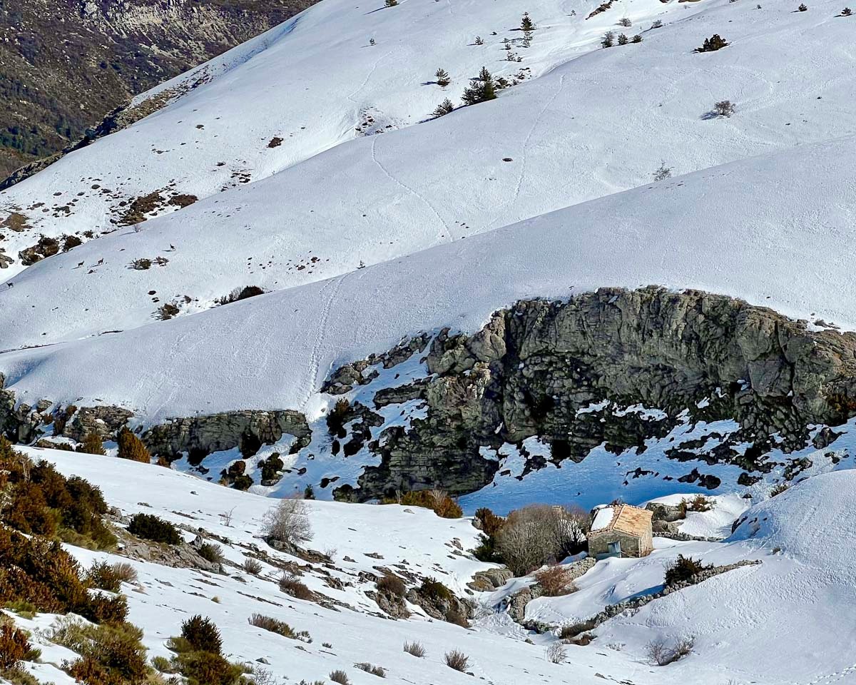 Peire Naisse (Cabane et chamois à G) 