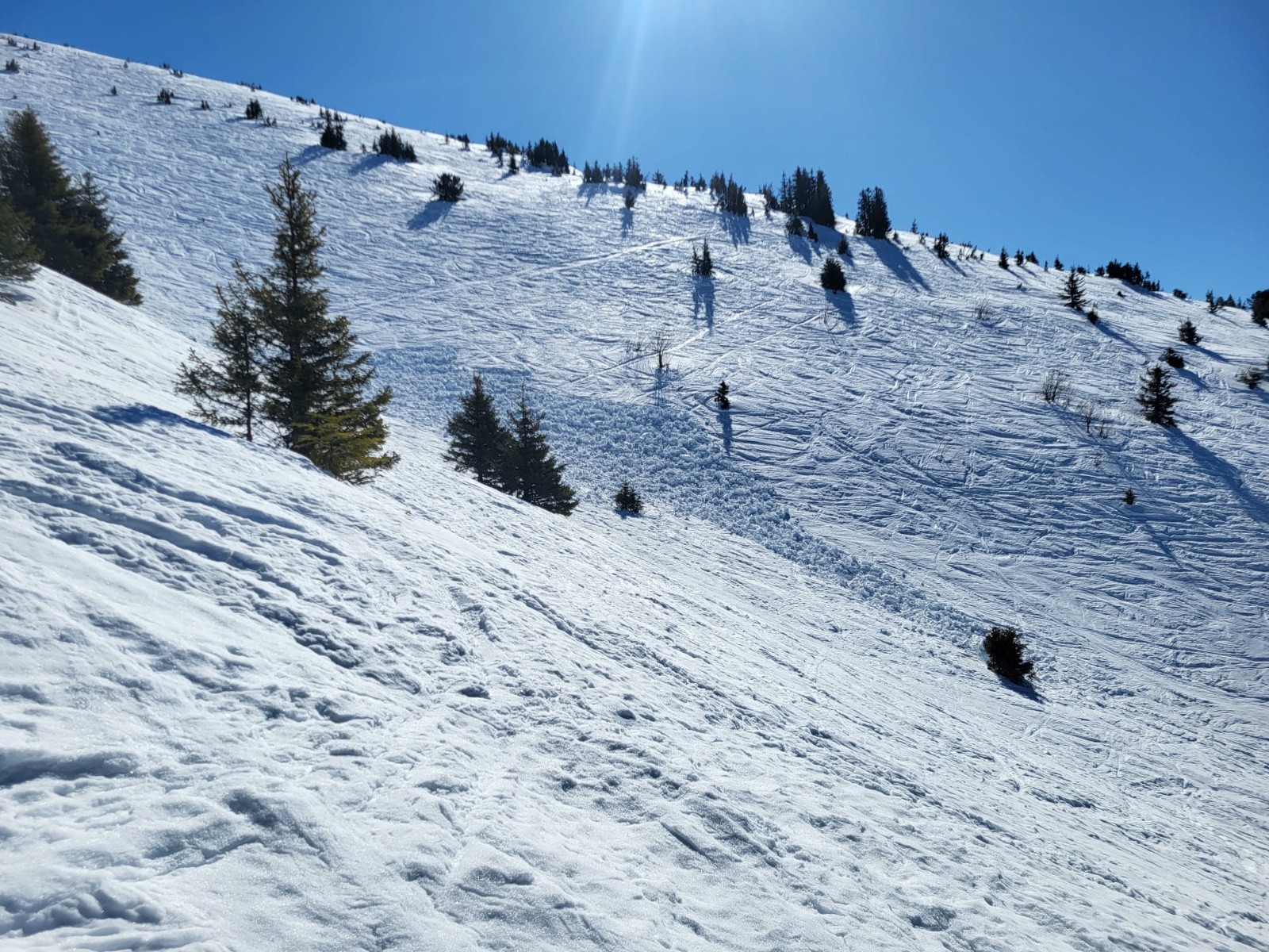 La zone avec la coulée